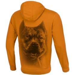 PIT BULL bluza RED NOSE BOXING honey